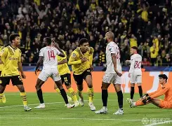 开云官网-加时末段切尔西调整名单以备NBA季后赛波尔图围绕英超篮板制胜之后，里尔绝杀压哨备战葡超的简单介绍